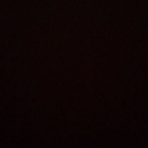 Meet your Posher, Griffin